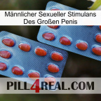 Männlicher Sexueller Stimulans Des Großen Penis 05